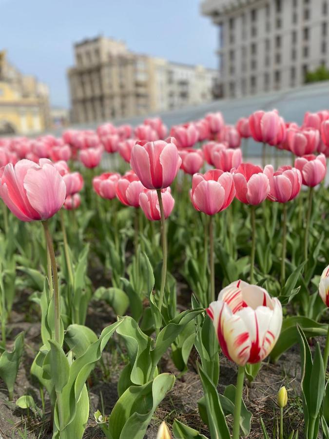 Однокімнатні Апартаменти На Майдані, Дистанційне Заселення 24Х7 Kiev Eksteriør bilde